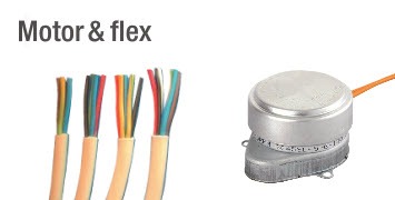 Motor and Flex