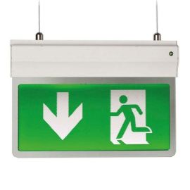 Ansell AE3LED/3M/SI Eagle 3-In-1 Silver 3W LED 6500K Emergency Maintained or Non-Maintained Exit Sign image