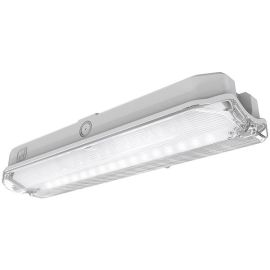 Ansell AGLED/3M Guardian White 3W LED 167lm 6500K IP65 352mm Self-Test Emergency Maintained or Non-Maintained Bulkhead