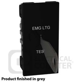 BG EMSW12ELG Grey 20AX 2 Way EMG LTG TEST 1 Module Euro Module Key Switch image