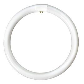 60W G10q/T9 Warm White Circular Fluorescent Lamp, 4 Pin (12 Pack, 9.91 each) image