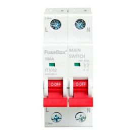 FuseBox IT1002 6kA 2 Pole 100A Main Switch