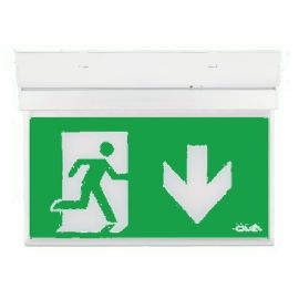 Ovia OEH2-D Hanex5 White IP20 2W 5500K Emergency 3 Hour Exit Sign with Down Legend image
