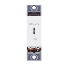 Selectric SSLM-EMG Smooth White 10AX 2 Way 2 Pole EMG LTG TEST Keyswitch Module