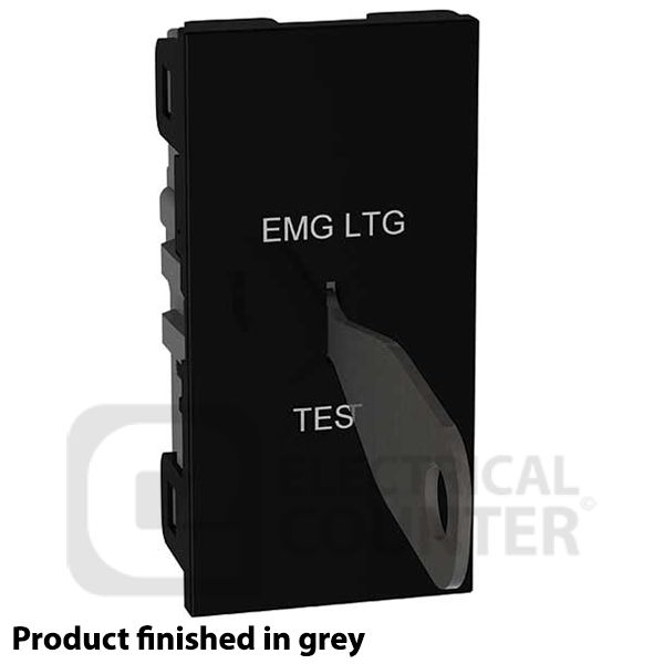 BG EMSW12ELG Grey 20AX 2 Way EMG LTG TEST 1 Module Euro Module Key Switch