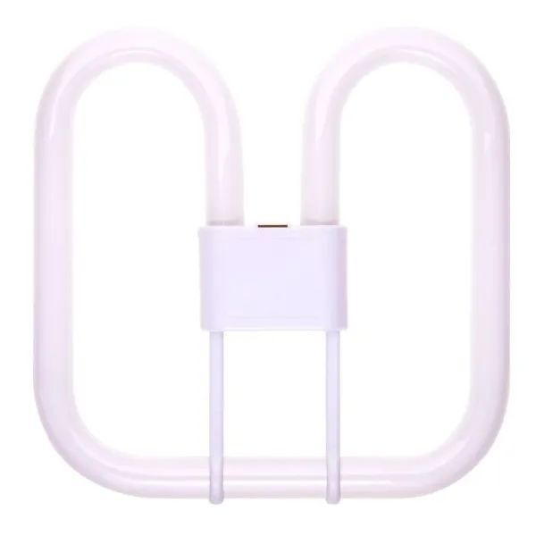 28W GR8 Cool White Square Fluorescent Lamp, 2 Pin (20 Pack, 3.02 each)