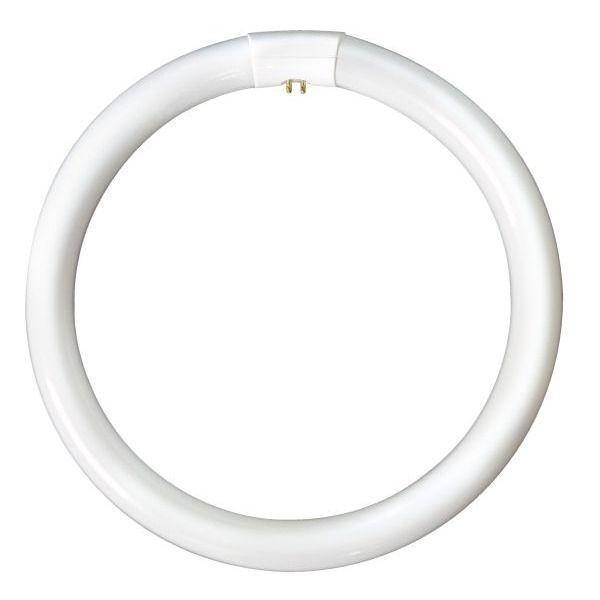 32W G10q/T9 Warm White Circular Fluorescent Lamp, 4 Pin (12 Pack, 7.31 each)