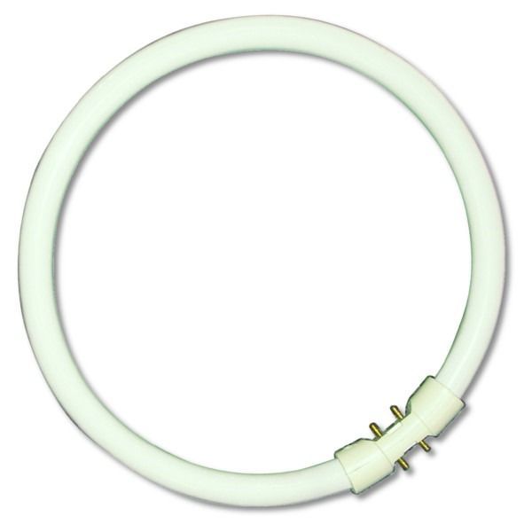 60W 2Gx13/T5 Cool White Circular Tube, 373mm (12 Pack, 15.22 each)