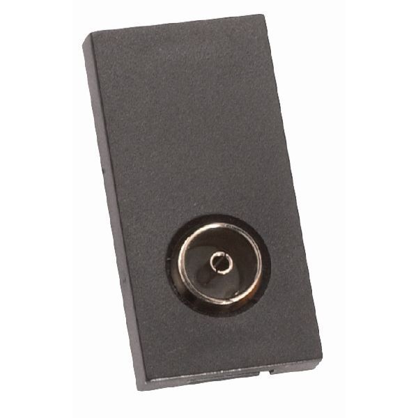 Hamilton MOD-TVB EuroFix Black 25x50mm Non-Isolated 1in-1out Coaxial Outlet Module