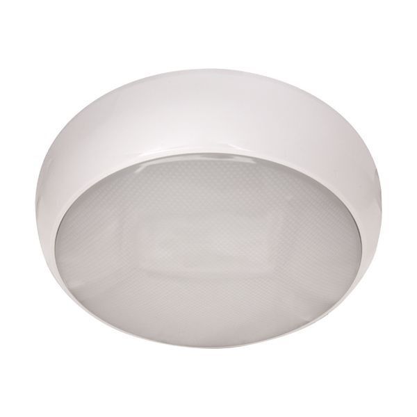 White LED 15W Cool White Circular Fitting with Emergency Module IP65