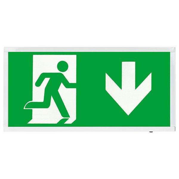 Ovia OVEM5311WHDST Calvex White IP20 4W 45lm 5500K Emergency Self Test Box Exit Sign with Down Legend