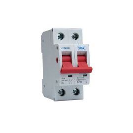 BG Fortress CUSW100 100A 2 Pole Main Switch Isolator